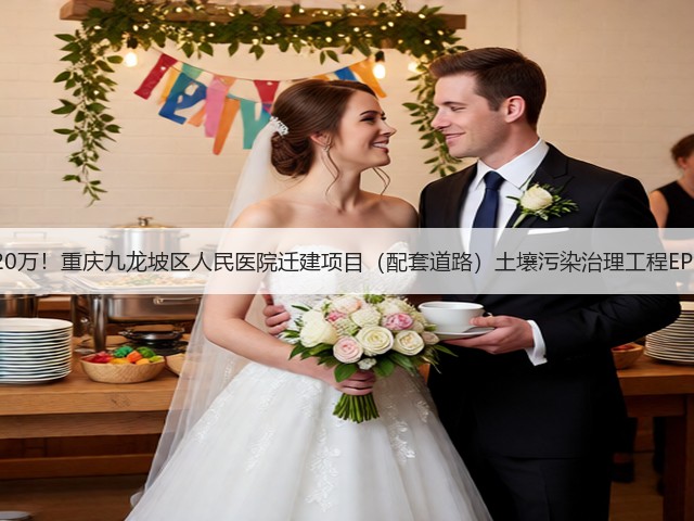 总投资额约2520万！重庆九龙坡区人民医院迁建项目（配套道路）土壤污染治理工程EPC总承包招标！(图1)