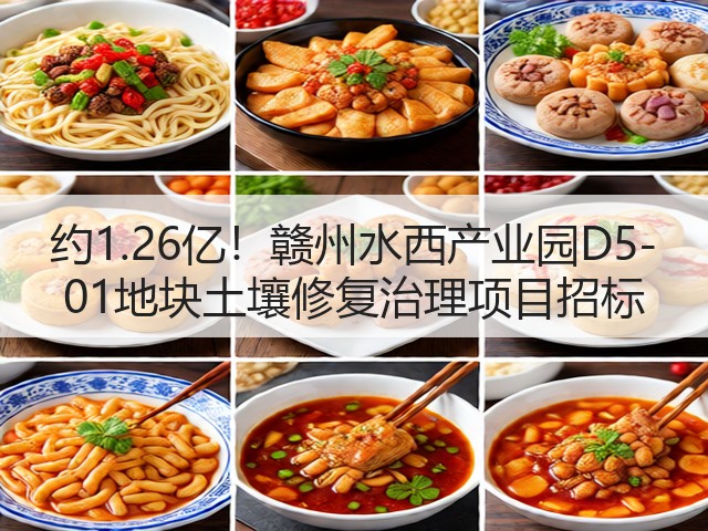 约1.26亿！赣州水西产业园D5-01地块土壤修复治理项目招标(图3)