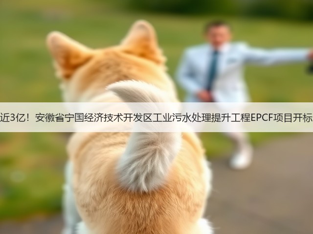 近3亿！安徽省宁国经济技术开发区工业污水处理提升工程EPCF项目开标(图1)