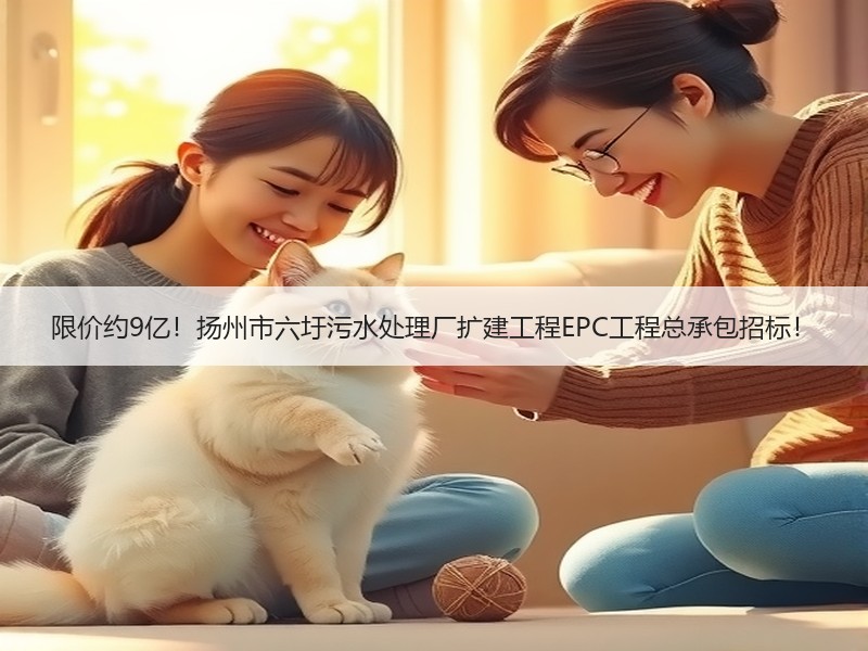 限价约9亿！扬州市六圩污水处理厂扩建工程EPC工程总承包招标！