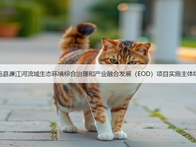 江西安远县濂江河流域生态环境综合治理和产业融合发展(EOD)项目实施主体结果公示(图3) 江西安远县濂江河流域生态环境综合治理和产业融合发展(EOD)项目实施主体结果公示(图3)