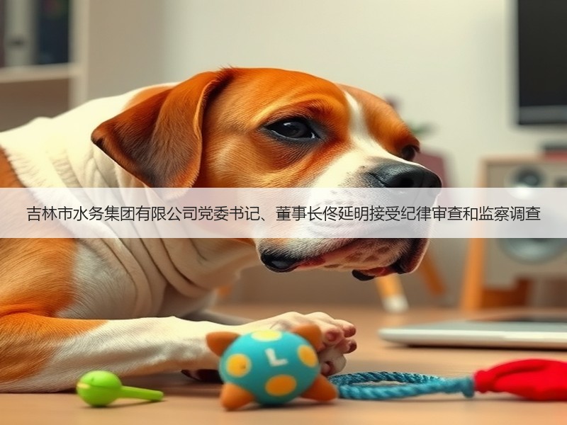 吉林市水务集团有限公司党委书记、董事长佟延明接受纪律审查和监察调查