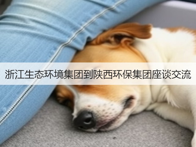 浙江生态环境集团到陕西环保集团座谈交流(图1)