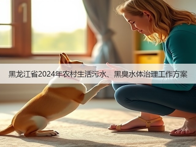 黑龙江省2024年农村生活污水、黑臭水体治理工作方案(图1) 黑龙江省2024年农村生活污水、黑臭水体治理工作方案(图1)