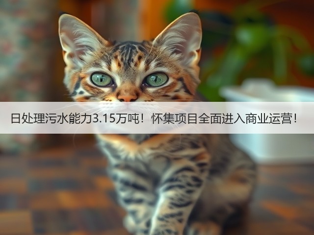 日处理污水能力3.15万吨!怀集项目全面进入商业运营!(图1) 日处理污水能力3.15万吨!怀集项目全面进入商业运营!(图1)