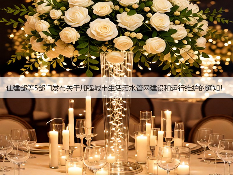 住建部等5部门发布关于加强城市生活污水管网建设和运行维护的通知！