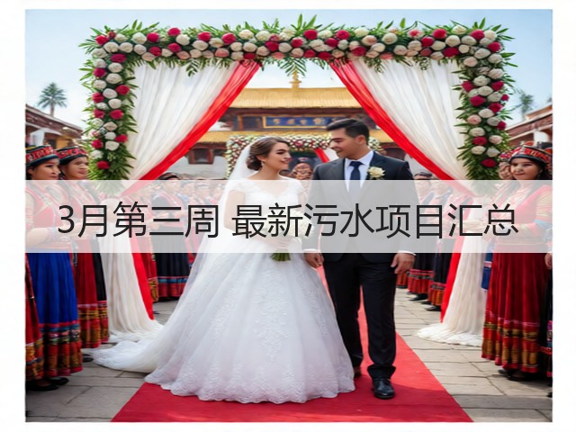 3月第三周 最新污水项目汇总(图1)