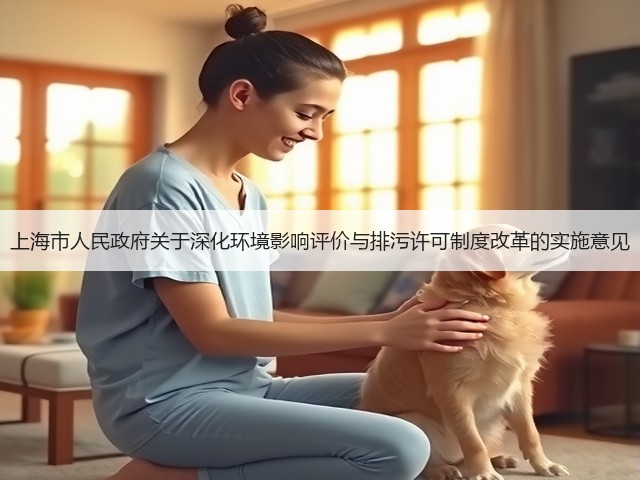 上海市人民政府关于深化环境影响评价与排污许可制度改革的实施意见(图2)