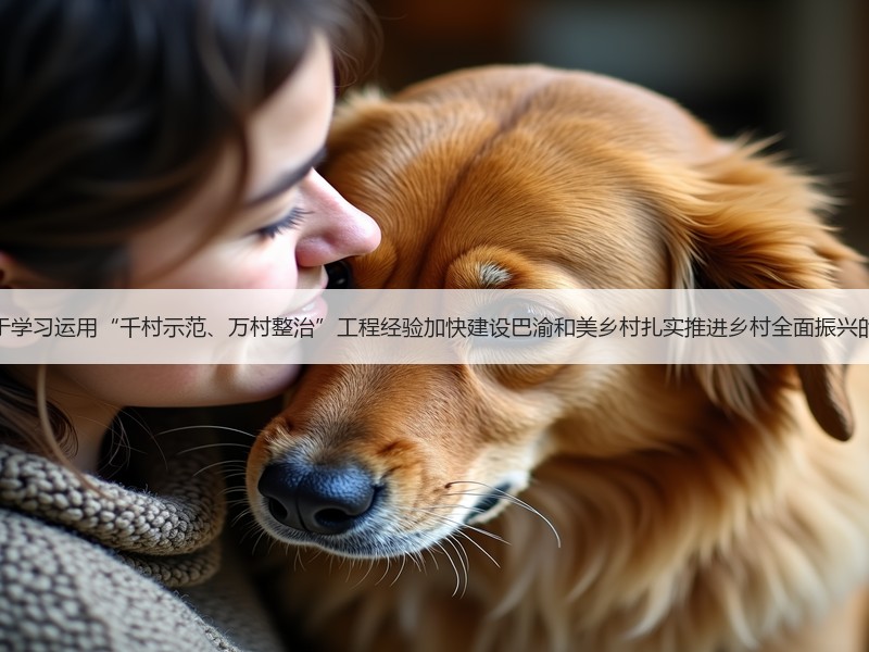 重庆市关于学习运用“千村示范、万村整治”工程经验加快建设巴渝和美乡村扎实推进乡村全面振兴的实施意见 重庆市关于学习运用“千村示范、万村整治”工程经验加快建设巴渝和美乡村扎实推进乡村全面振兴的实施意见