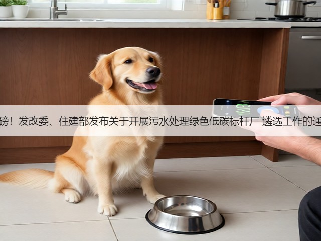 重磅！发改委、住建部发布关于开展污水处理绿色低碳标杆厂 遴选工作的通知(图1)