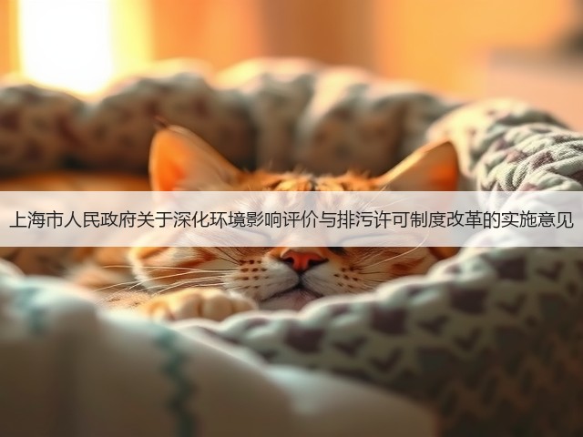 上海市人民政府关于深化环境影响评价与排污许可制度改革的实施意见(图1)