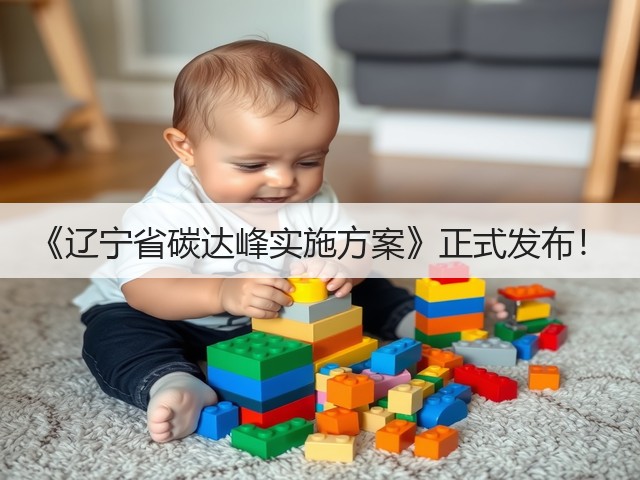 《辽宁省碳达峰实施方案》正式发布！(图1)