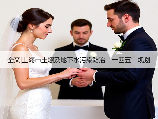 全文|上海市土壤及地下水污染防治“十四五”规划(图3) 全文|上海市土壤及地下水污染防治“十四五”规划(图3)