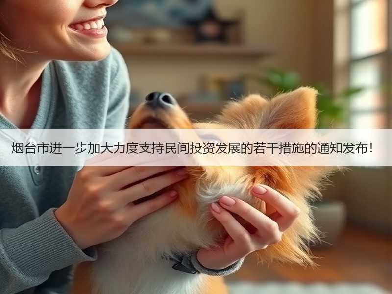 烟台市进一步加大力度支持民间投资发展的若干措施的通知发布！