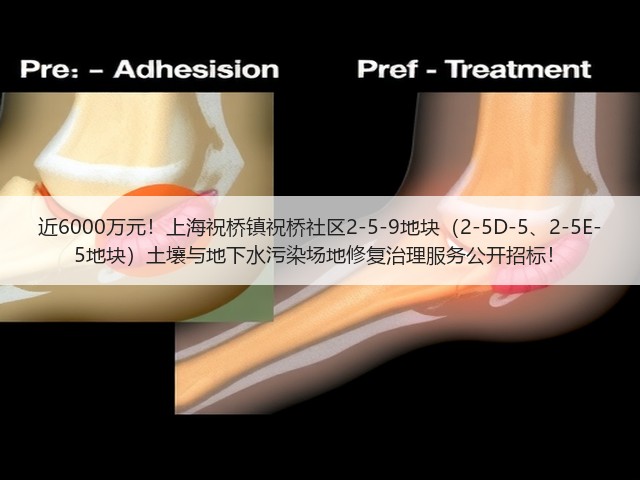 近6000万元！上海祝桥镇祝桥社区2-5-9地块（2-5D-5、2-5E-5地块）土壤与地下水污染场地修复治理服务公开招标！(图3)
