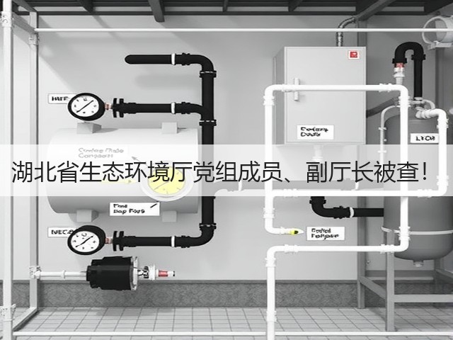 湖北省生态环境厅党组成员、副厅长被查！(图2)