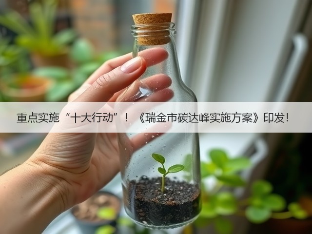 重点实施“十大行动”!《瑞金市碳达峰实施方案》印发!(图2) 重点实施“十大行动”!《瑞金市碳达峰实施方案》印发!(图2)