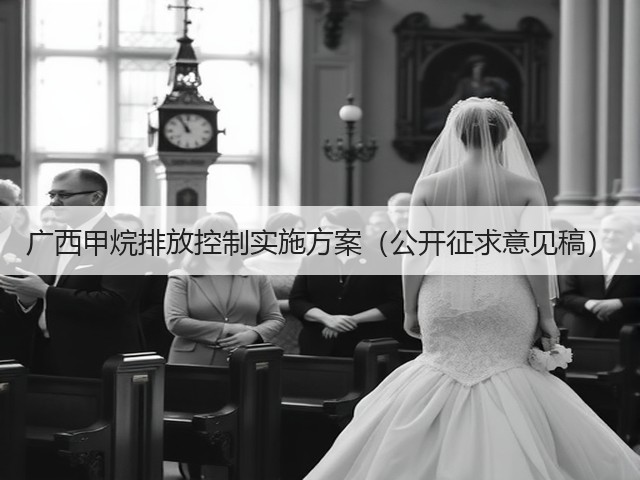 广西甲烷排放控制实施方案（公开征求意见稿）(图2)