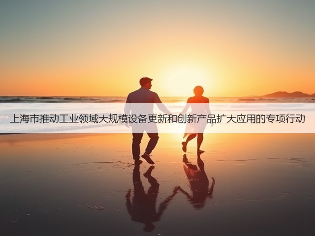 上海市推动工业领域大规模设备更新和创新产品扩大应用的专项行动(图2)