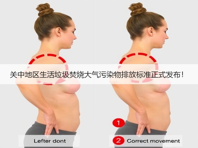 关中地区生活垃圾焚烧大气污染物排放标准正式发布！(图3)