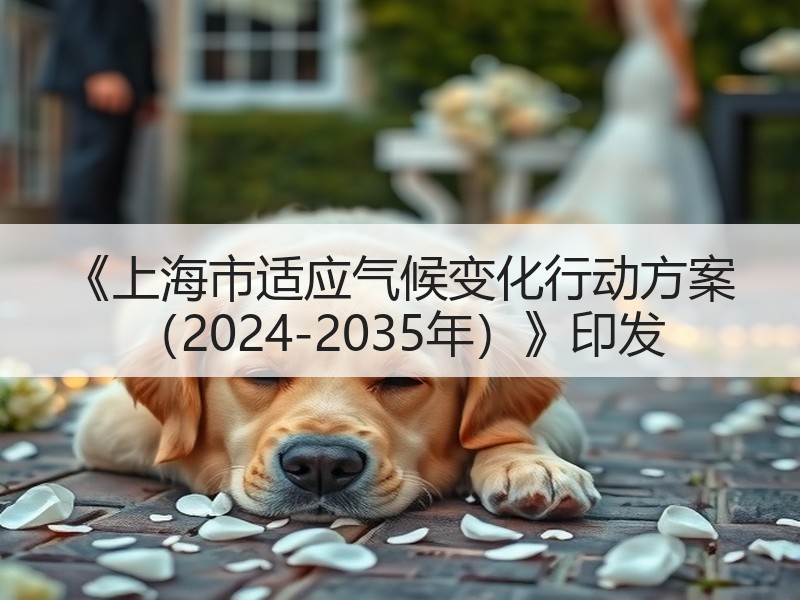 《上海市适应气候变化行动方案 (2024-2035年)》印发 《上海市适应气候变化行动方案 (2024-2035年)》印发