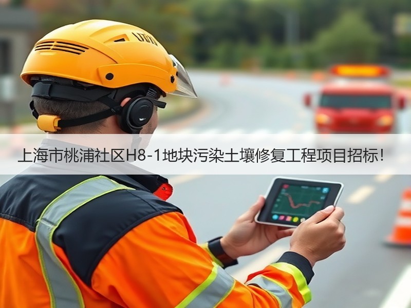 上海市桃浦社区H8-1地块污染土壤修复工程项目招标! 上海市桃浦社区H8-1地块污染土壤修复工程项目招标!