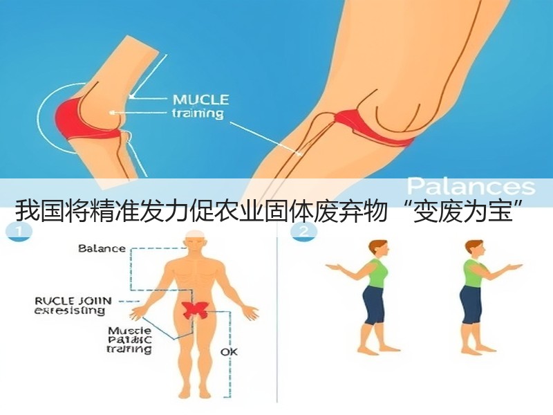 我国将精准发力促农业固体废弃物“变废为宝”