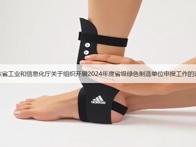 山东省工业和信息化厅关于组织开展2024年度省级绿色制造单位申报工作的通知(图2)