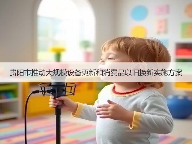 贵阳市推动大规模设备更新和消费品以旧换新实施方案(图3)