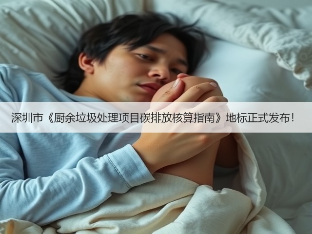 深圳市《厨余垃圾处理项目碳排放核算指南》地标正式发布！(图3)