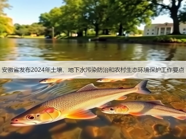 安徽省发布2024年土壤、地下水污染防治和农村生态环境保护工作要点(图3)