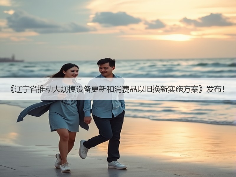 《辽宁省推动大规模设备更新和消费品以旧换新实施方案》发布！