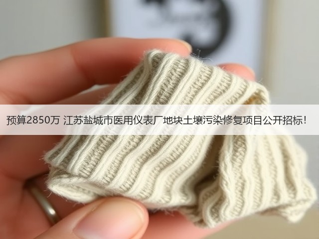 预算2850万 江苏盐城市医用仪表厂地块土壤污染修复项目公开招标!(图2) 预算2850万 江苏盐城市医用仪表厂地块土壤污染修复项目公开招标!(图2)