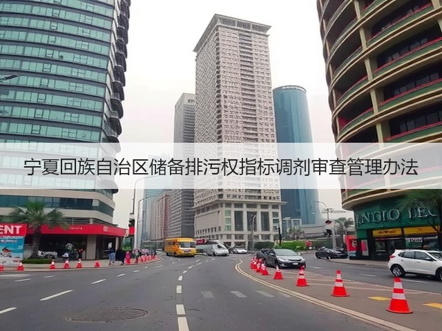 宁夏回族自治区储备排污权指标调剂审查管理办法(图3)