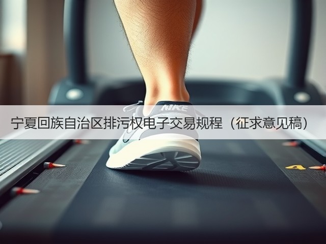 宁夏回族自治区排污权电子交易规程（征求意见稿）(图3)