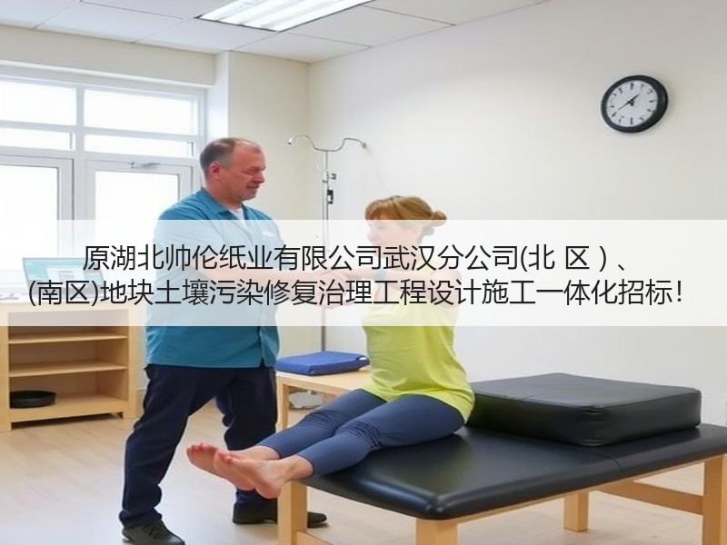 原湖北帅伦纸业有限公司武汉分公司(北 区 ) 、 (南区)地块土壤污染修复治理工程设计施工一体化招标! 原湖北帅伦纸业有限公司武汉分公司(北 区 ) 、 (南区)地块土壤污染修复治理工程设计施工一体化招标!