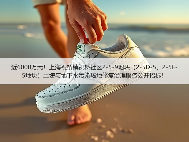 近6000万元！上海祝桥镇祝桥社区2-5-9地块（2-5D-5、2-5E-5地块）土壤与地下水污染场地修复治理服务公开招标！(图2)