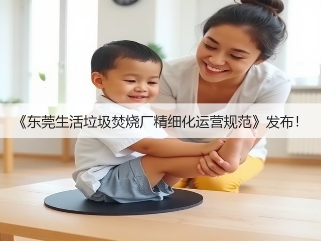 《东莞生活垃圾焚烧厂精细化运营规范》发布！(图1)