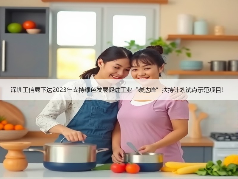 深圳工信局下达2023年支持绿色发展促进工业“碳达峰”扶持计划试点示范项目！