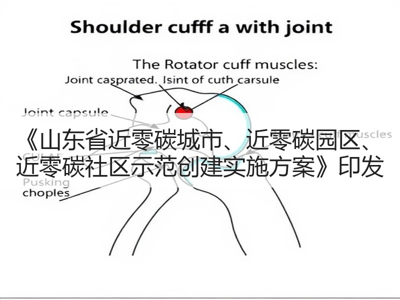 《山东省近零碳城市、近零碳园区、 近零碳社区示范创建实施方案》印发