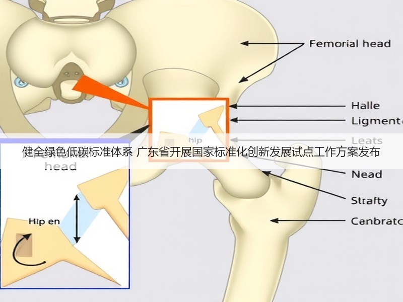 健全绿色低碳标准体系 广东省开展国家标准化创新发展试点工作方案发布 健全绿色低碳标准体系 广东省开展国家标准化创新发展试点工作方案发布