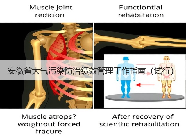 安徽省大气污染防治绩效管理工作指南（试行）(图1)