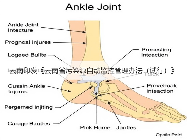 云南印发《云南省污染源自动监控管理办法(试行)》(图2) 云南印发《云南省污染源自动监控管理办法(试行)》(图2)